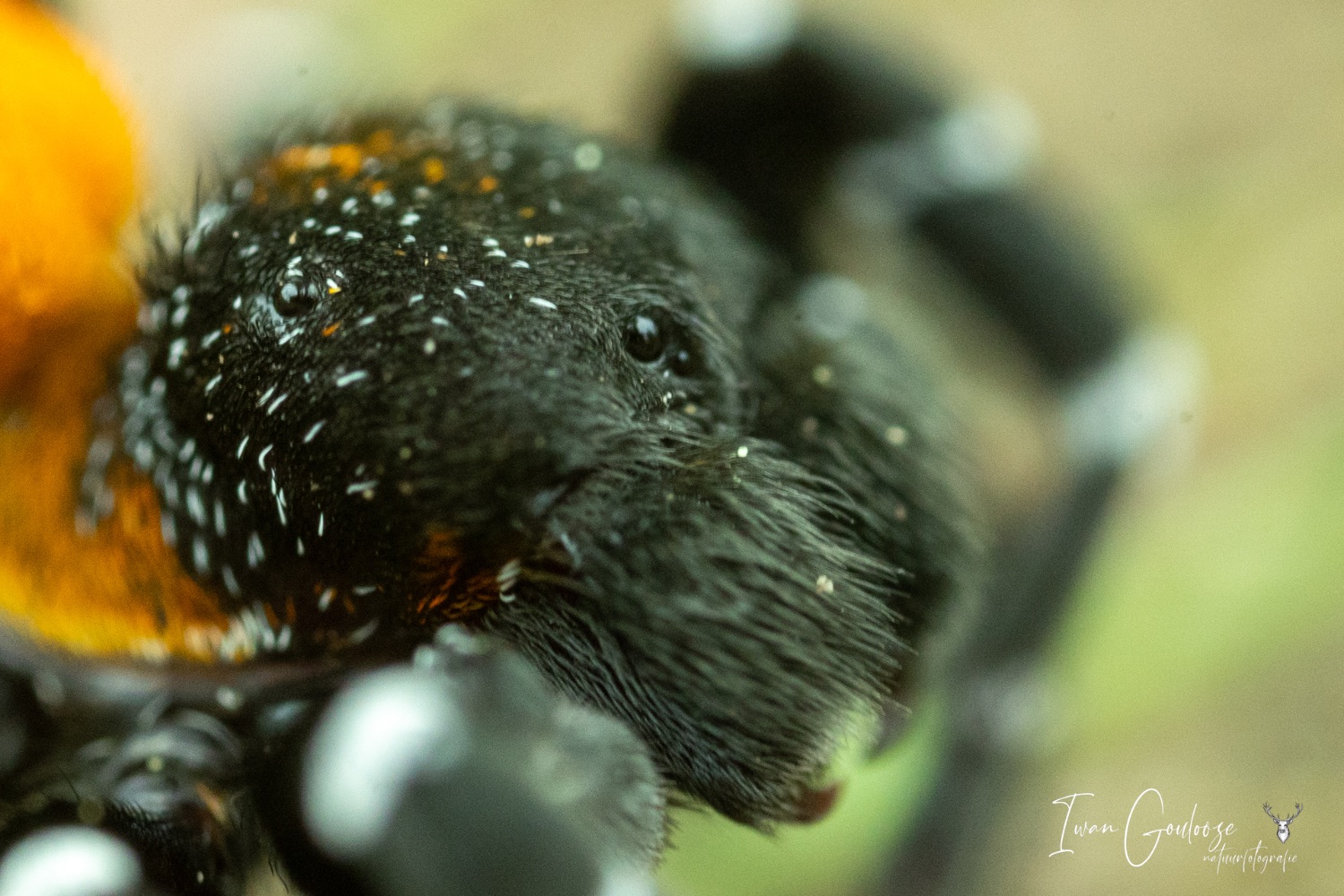 14 mei 2023 151842  R2A1606